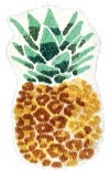 CHARLES MILLEN Signature Collection 100% Microfibre Anti-slip Mat – TAPESTRY