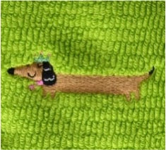 Rectors - The RANGERS (Charles Millen)